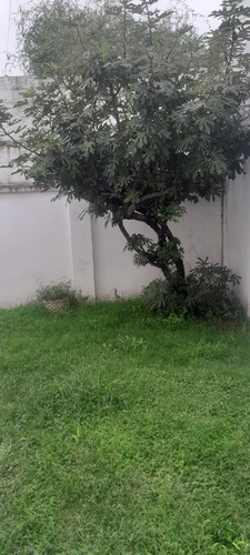 Excelente Ph Villa Luro Con Garaje , Jardín Y Terraza