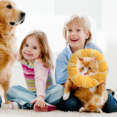 Cono De Gato Collar Isabelino A Prueba De Para Perros Y Gato