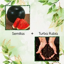 Comprar 45 Semillas De Fruta Sandia Sugar Baby+ Turba De Germinación