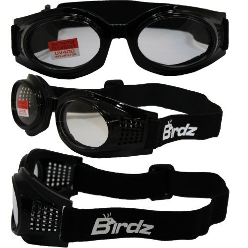 Birdz Gafas Gafas De Kite Motocicleta (marco Negro / Lente C