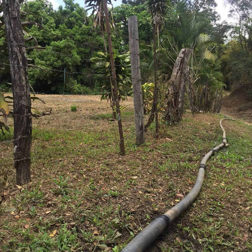 Imagen 3 de 30 de Parcela Con Bienhechurías En San Juan De Los Morros, Guárico