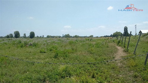 Imagen 4 de 30 de Agrícola En Venta En Linares