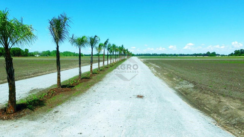 Imagen 24 de 27 de Lote - Venta - Praderas De Cardales - Alto Los Cardales - Zona Norte
