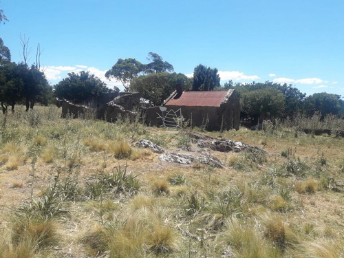 Imagen 11 de 14 de Campo Cerca De La Ruta 12 Y Ruta 60 - Minas