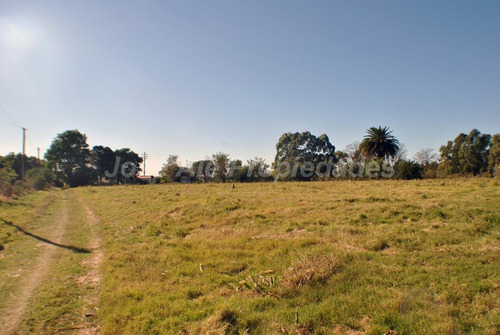 Imagen 10 de 11 de En Venta 5 Ha Con Dos Casas Colonia Del Sacramento