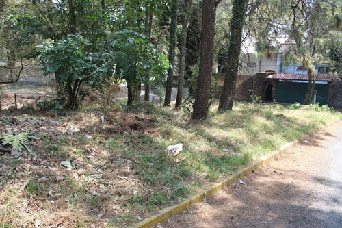 Imagen 5 de 6 de Terreno En Esquina Dentro De Fraccionamiento