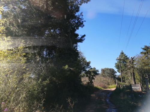 Imagen 3 de 12 de Terreno En Huasca De Ocampo Hgo. Junto A Rancho San Fco.