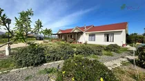 Comprar Parcela Con 2 Casas En Venta 6d\u002F6b En Talagante - Oliveto