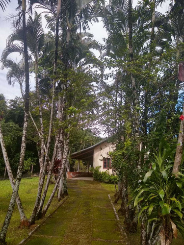 Imagem 8 de 14 de Linda Chácara Em Itanhaém