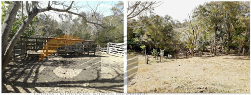 Imagem 13 de 14 de Tietê Sp Sítio 32.400 M² Docs. Ok. Ref. Sti-1