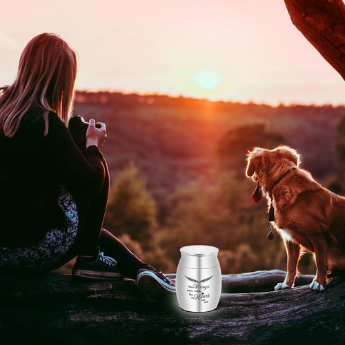 Urna De Cremación Pequeña Para Cenizas De Mascotas Mini Urna
