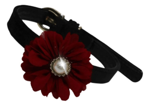 Hpa Nunbell Collar Terciopelo Con Flor #060631