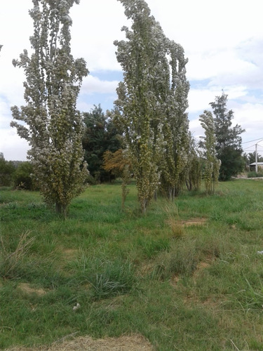 Terreno De 420m2 En Ruta Provincial Y Av Gral Belgrano