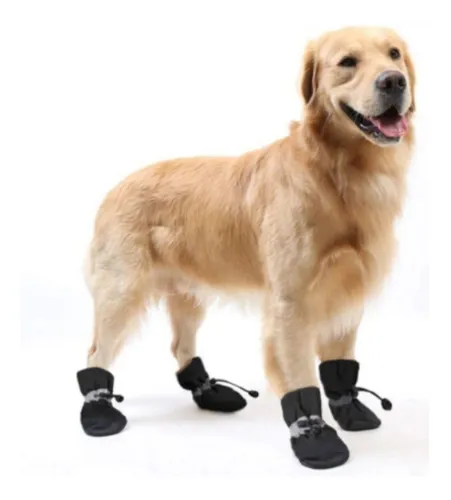 Sapato Para Cachorro Pequeno m dio Porte Botinha Imperme vel
