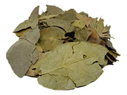 Hoja De Boldo Peruana Auténtica 1 Kilogramo