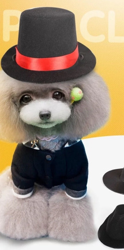 Sombrero Disfraz Mascota Perro Gato Elegante Huaso 