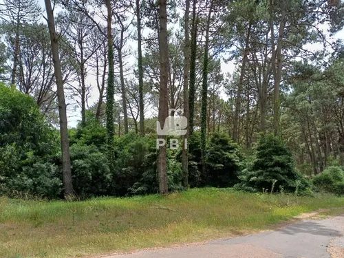 Terreno, Venta, Club Del Lago - Ref : Pbi14201