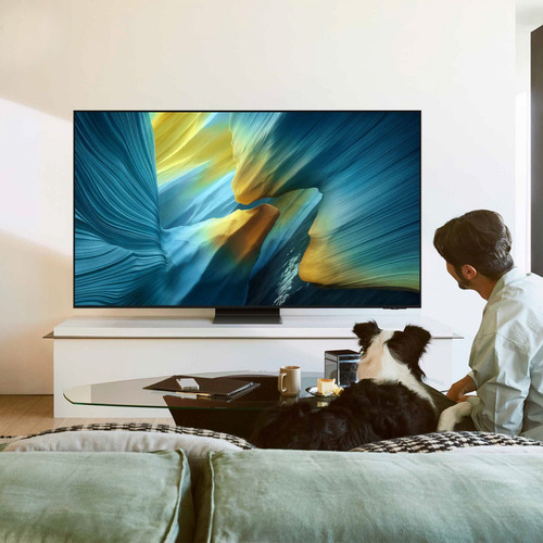 55 Oled S95f 4k Vision Ai Smart Tv (2025)