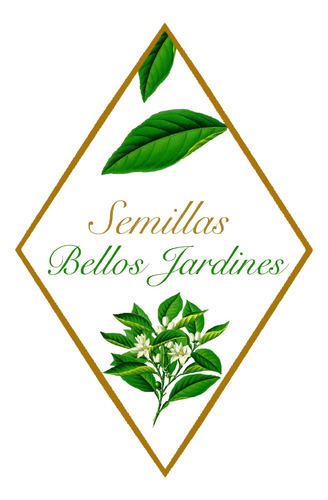Semillas De Rabanito Para Migrogreens (brotes)