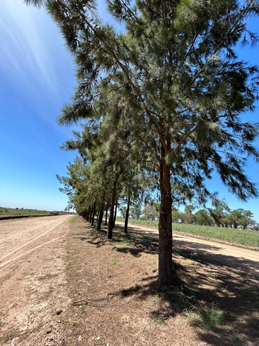 Imagen 3 de 21 de Lotes Terrenos En Venta En Barrio Cerrado Zona Mariano Acosta Financiado