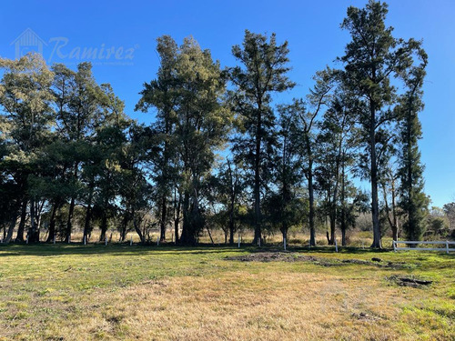 Imagen 26 de 30 de Lote Terreno En Venta 300 M2 - Parques Del Morenito, Moreno Norte