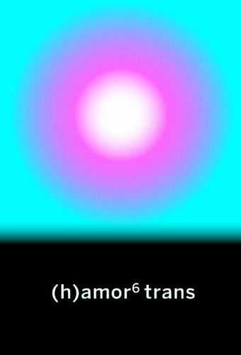 (h) Amor 6 Trans - Varios Gussi