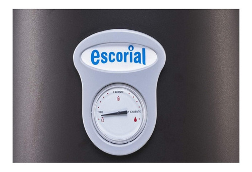Imagen 2 de 7 de Termotanque Multigas Escorial Geisser 120l Carga Superior