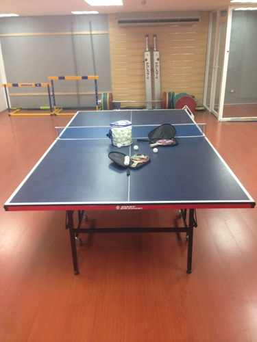 Imagen 4 de 9 de Mesa Ping Pong Giant Dragon Power 800-1 Tenis Mesa Oferta