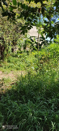 Imagen 8 de 11 de Venta Terreno En Centro De Palo Negro Ocumarito Edo Aragua.