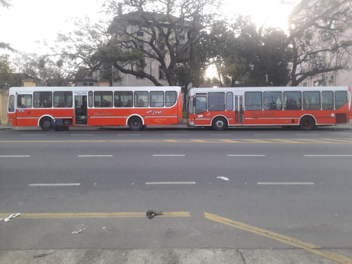 Alquiler De Omnibus Escolar