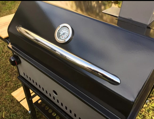 Parrilla A Gas Isi Mod. Mini Dual (parrilla Y Horno)