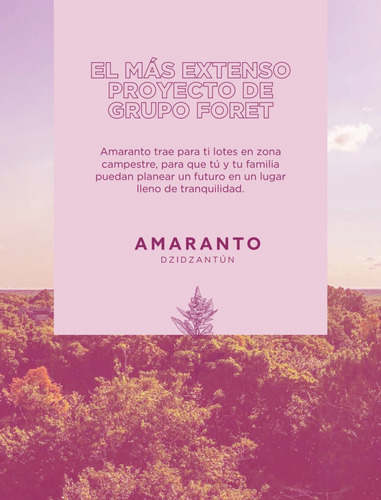 Imagen 2 de 11 de Amaranto Santa Clara