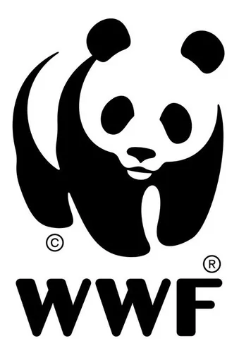 Oso Panda Wwf Original Importado 25 Cms De Largo