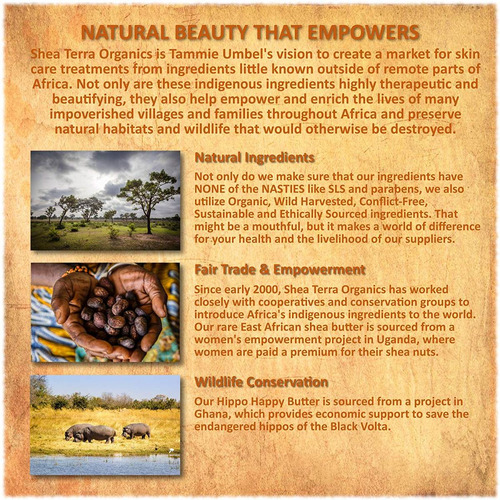 Shea Terra Organics Argán Y Romero Aceite Limpiador | El Tra