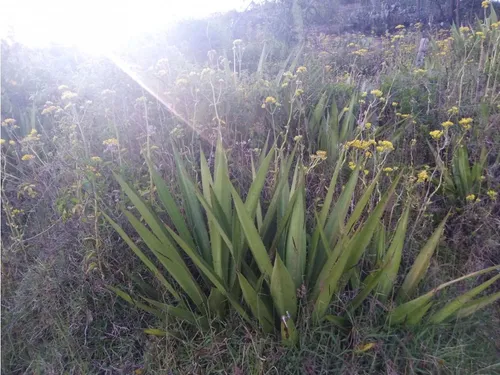 Vendo Lote N.2 En Altos De San Jorge Duitama