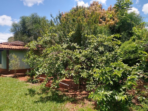 Imagem 10 de 25 de Chácara 13.000m2, Duas Casas Amplas, Ambas Avarandadas, Poço Caipira, Terra Vermelha, Milharal Plantado, Ótima Localização - Ch00203 - 70578921