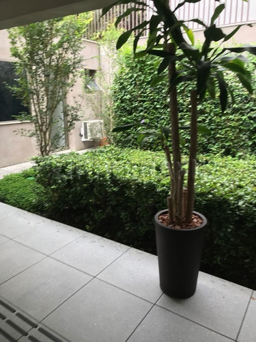Apartamento - Vila Madalena - Ref: 108684 - V-108684