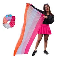 Comprar Bandera Lesbiana Lgbt Pride Orgullo Gay Grande Lesbica