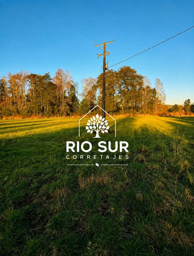 Campos 5 Ha Trapi Rio Bueno