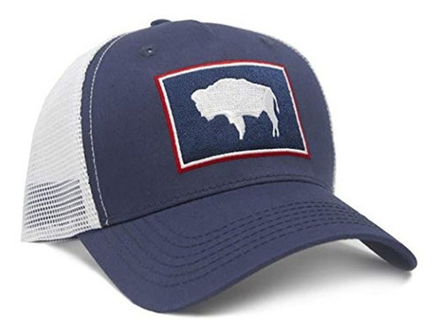 Corbata Internacional Bandera Del Estado De Wyoming Gorra De