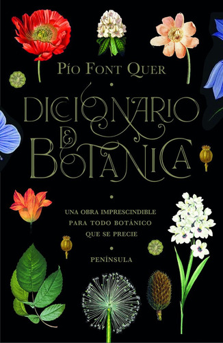 Libro Diccionario De Botã¡nica - Font Quer, Pã­o