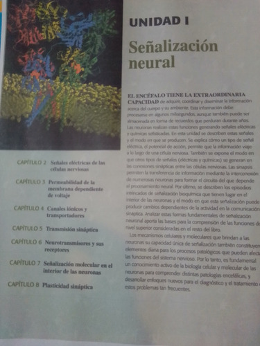 Purves Neurociencias 5ta Ed