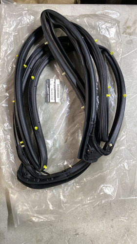 Hule Marco Puerta Trasera Izquierda Versa 12-19 Original