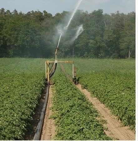 Imagen 16 de 19 de En Venta Finca De 50 Hectáreas, Ubicada En El Estado Ciojede