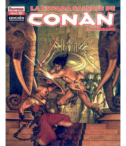 La Espada Salvaje De Conan 25 Edición Coleccionista Stock
