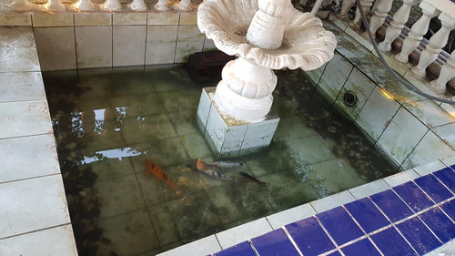 Chácara Para Venda Em Juquitiba, Flores, 3 Dormitórios, 3 Banheiros, 6 Vagas - Ch0008_1-1731254