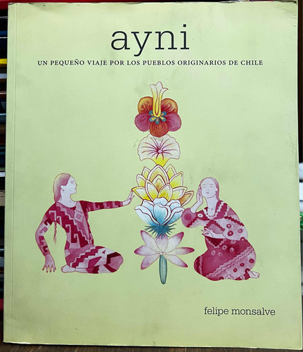 Ayni Un Pequeño Viaje Por Los Originarios De Chile Felipe M.