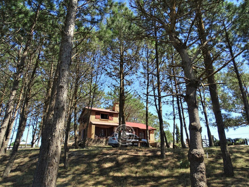 Oportunidad Única Casa En 1500m2 Terr. Cerca De Todo