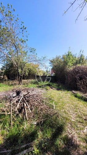 Imagen 17 de 19 de Casa Padrón Único Venta 2 Dormitorios Terreno Piedras Blancas