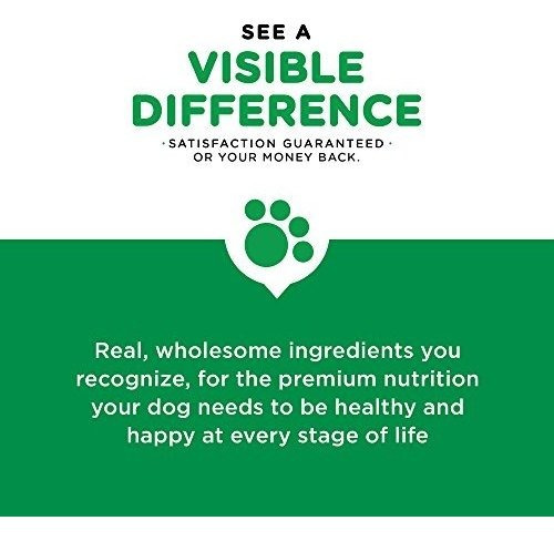 Iams Proactive Health Adult Minichunks Dry Dog Food